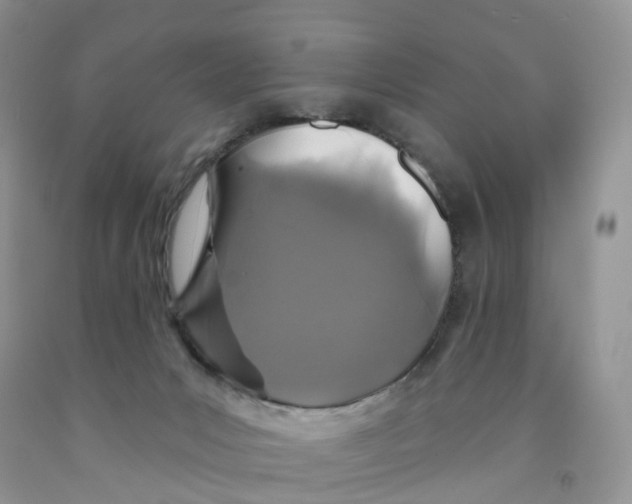 X0000091310031200709071123