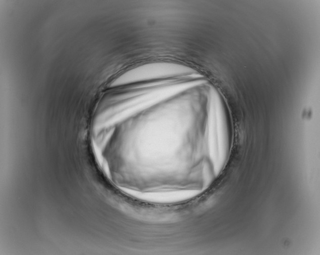 X0000091310032200709071123