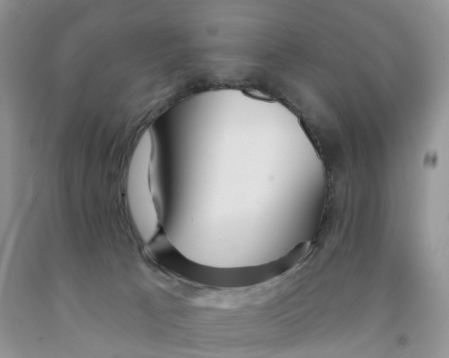 X0000091310033200709071123
