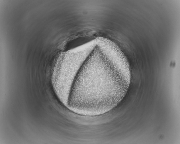 X0000091310034200709071123