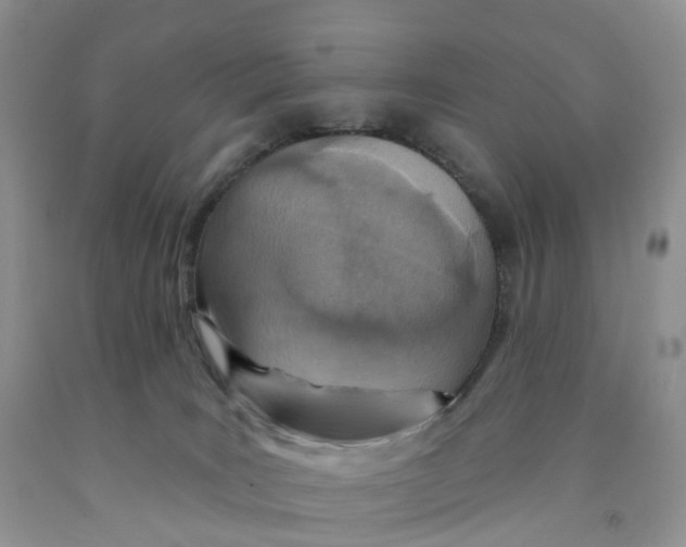 X0000091310035200709071123