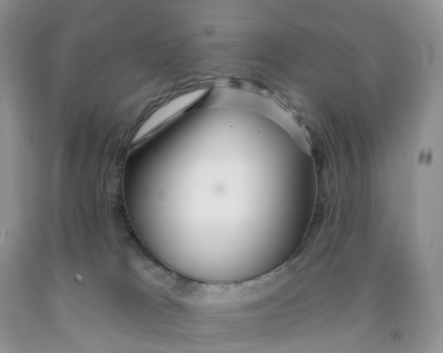 X0000091310037200709071123