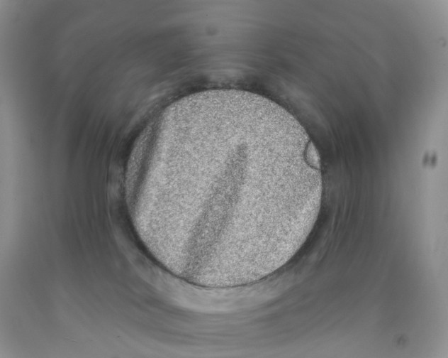 X0000091310038200709071123