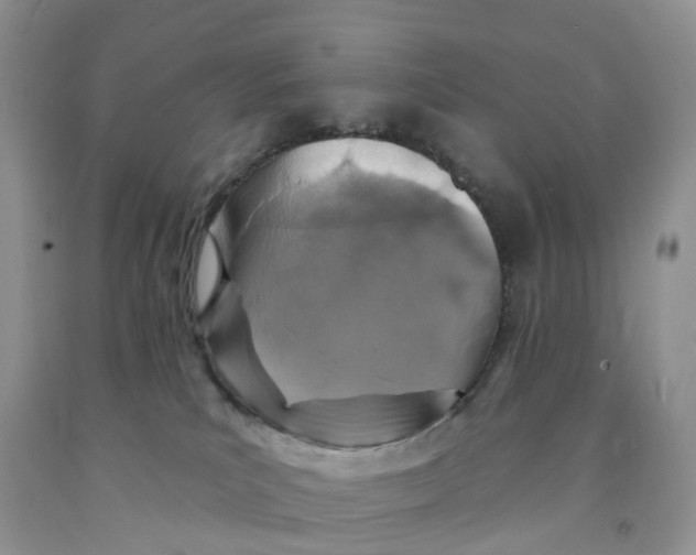 X0000091310039200709071123