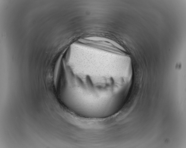 X0000091310040200709071123