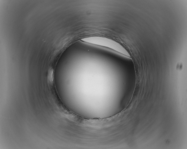 X0000091310041200709071123