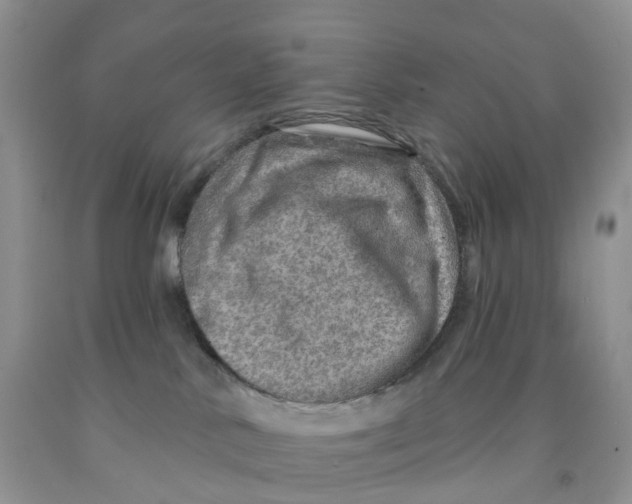 X0000091310042200709071123