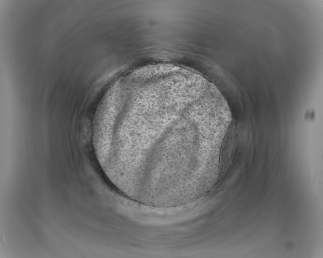 X0000091310043200709071123