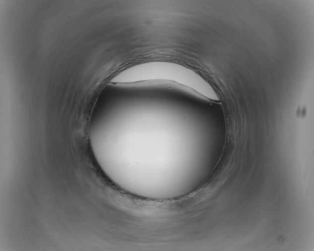 X0000091310044200709071123