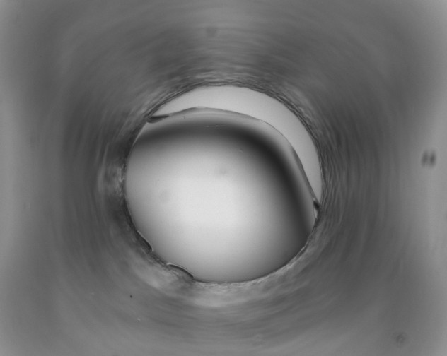 X0000091310045200709071123