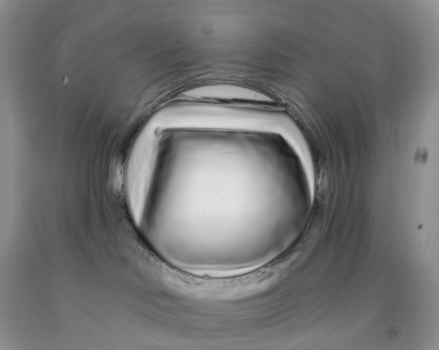 X0000091310046200709071123