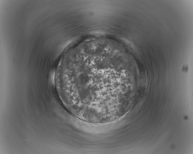 X0000091310047200709071123