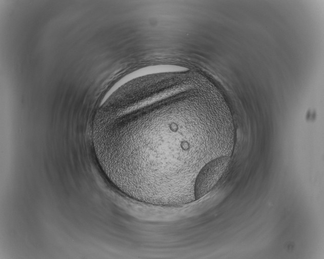 X0000091310048200709071123