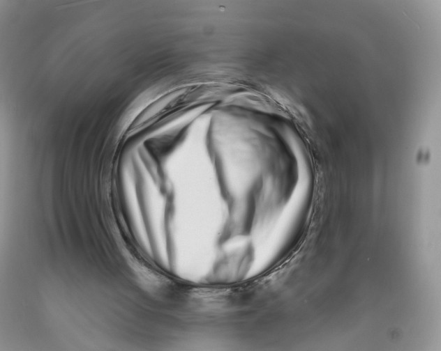 X0000091310051200709071122