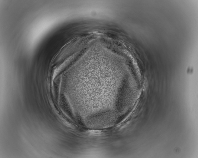 X0000091310052200709071122