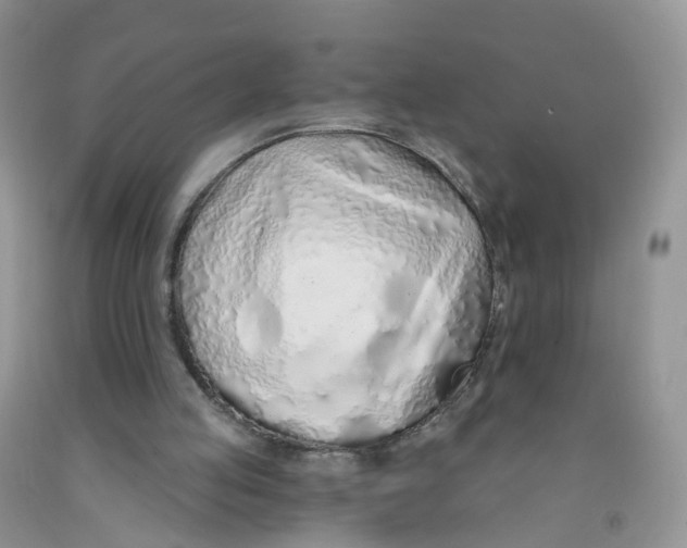 X0000091310053200709071122