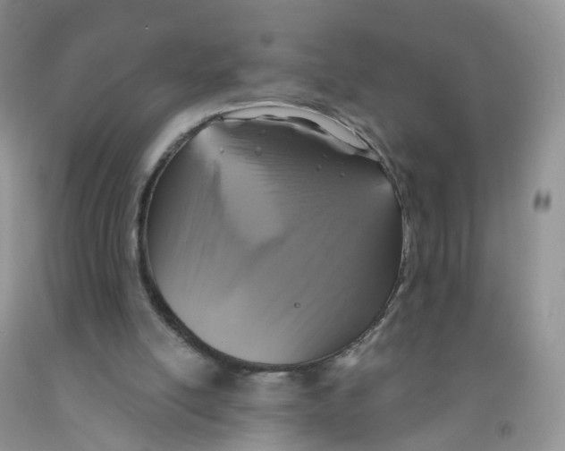X0000091310054200709071122