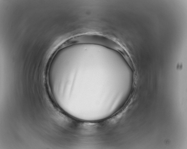 X0000091310055200709071122