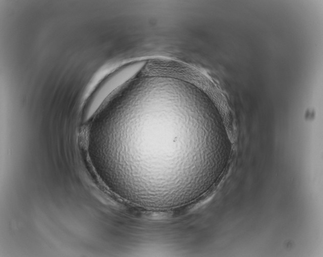 X0000091310056200709071122