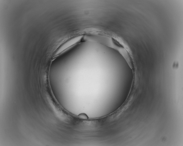 X0000091310057200709071122