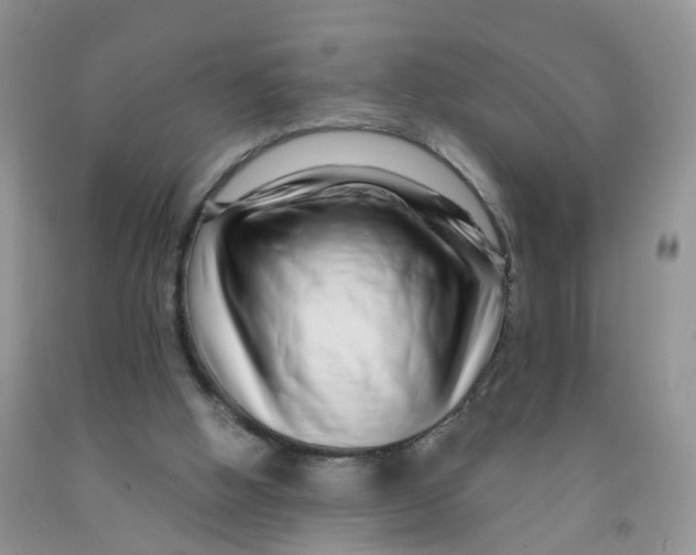 X0000091310058200709071122