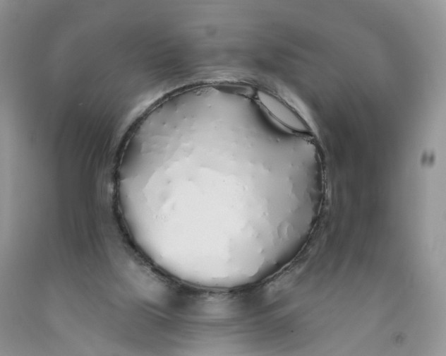X0000091310059200709071123