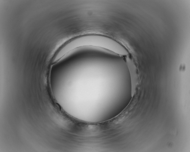 X0000091310060200709071123