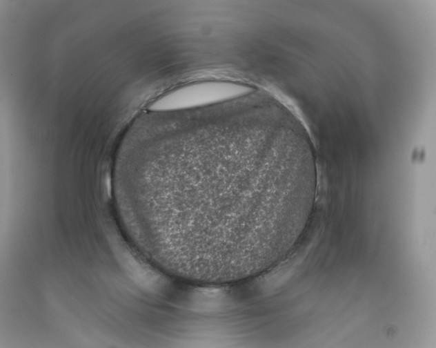X0000091310061200709071123