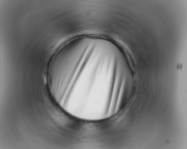 X0000091310062200709071123