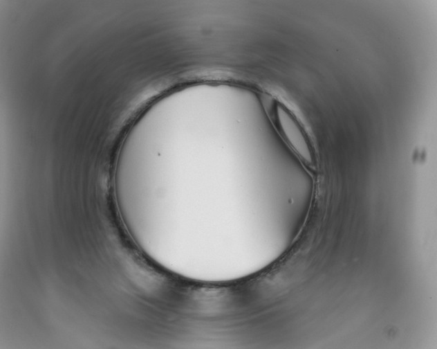 X0000091310063200709071123