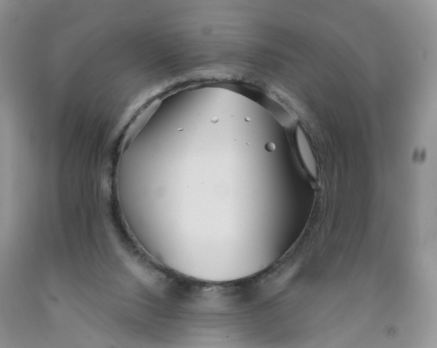 X0000091310064200709071123