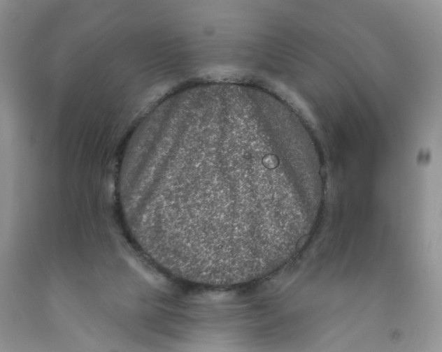 X0000091310065200709071123