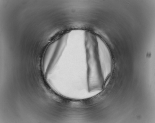 X0000091310066200709071123