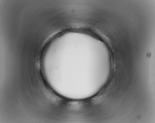 X0000091310067200709071123