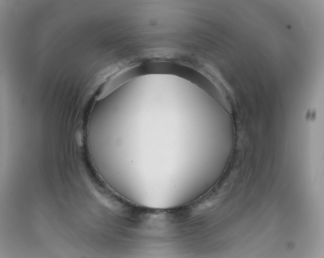 X0000091310068200709071123