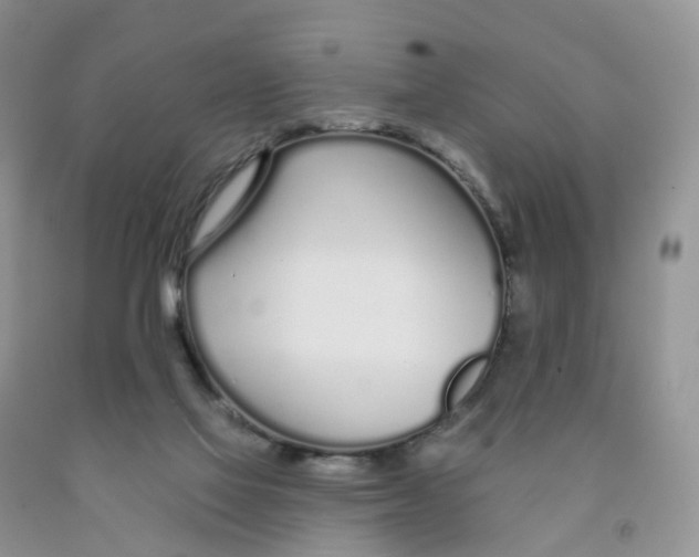 X0000091310069200709071123