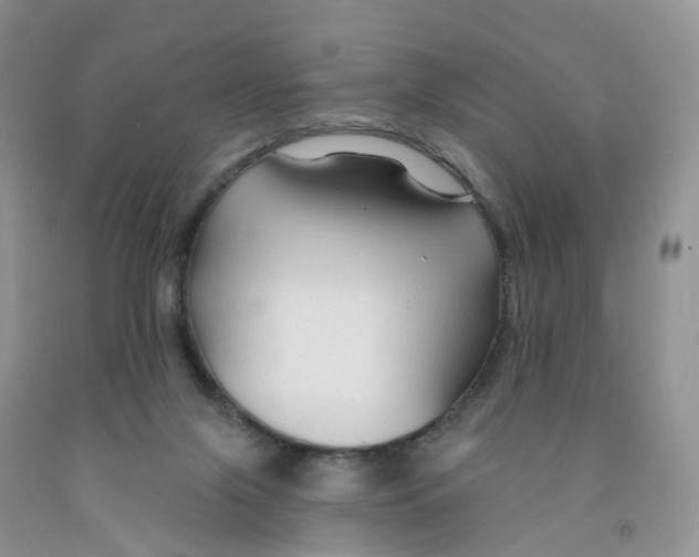 X0000091310071200709071123