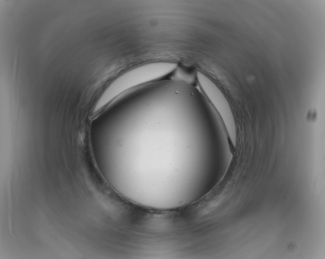 X0000091310072200709071123