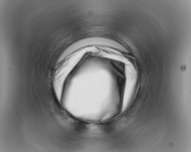 X0000091310073200709071123
