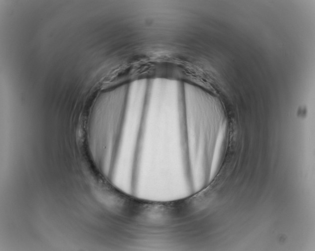 X0000091310074200709071123