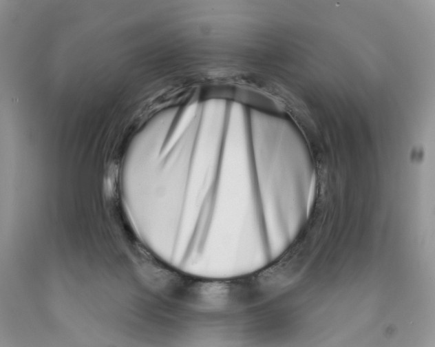 X0000091310075200709071123