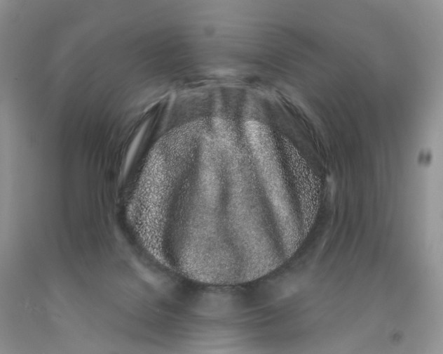X0000091310076200709071123