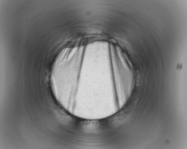 X0000091310077200709071123