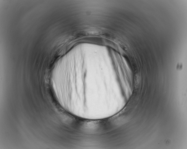 X0000091310078200709071123
