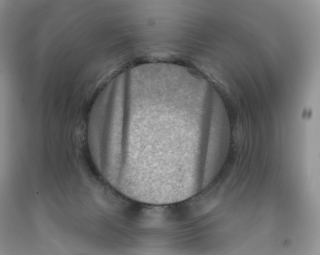 X0000091310079200709071123