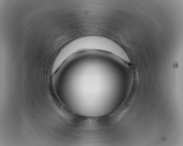 X0000091310080200709071123