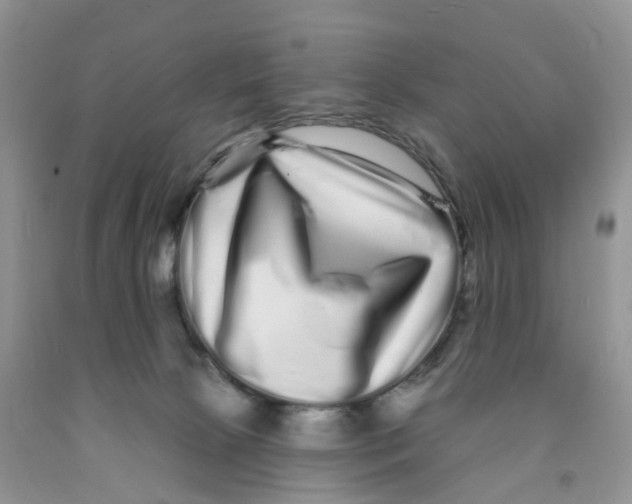 X0000091310081200709071123