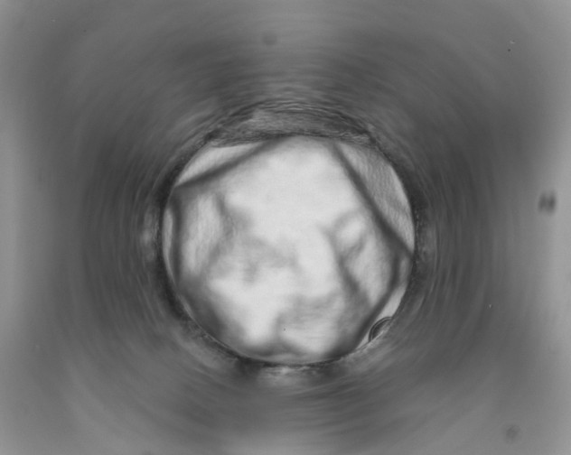 X0000091310082200709071123