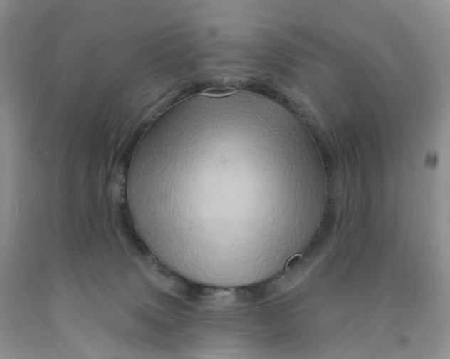 X0000091310083200709071123