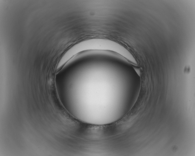 X0000091310084200709071123